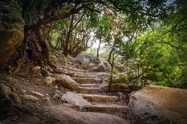 Akamas Bild von Dimitris Vetsikas auf Pixabay